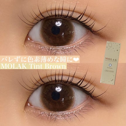 MOLAK 1day/MOLAK/ワンデー(1DAY)カラコンを使ったクチコミ(1枚目)