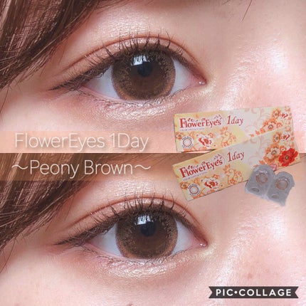 株式会社ビューフロンティア フラワーアイズ ワンデーのクチコミ「カラコン👀
@flowereyes.info 様のプレゼント企画にて頂きました!.....」(1枚目)