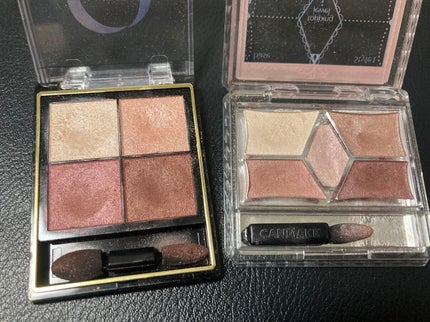 スキニーリッチシャドウ/excel/アイシャドウパレットを使ったクチコミ(4枚目)