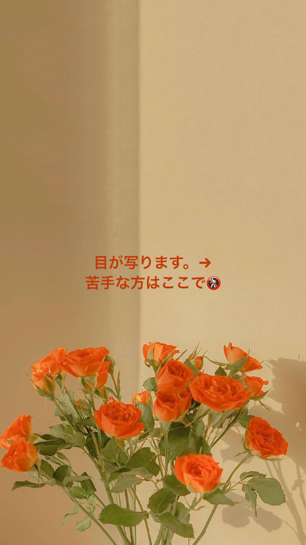 ラッシュニスタ N/MAYBELLINE NEW YORK/マスカラを使ったクチコミ（2枚目）