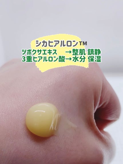 シカバイタル クリーム/VT/フェイスクリームを使ったクチコミ(3枚目)