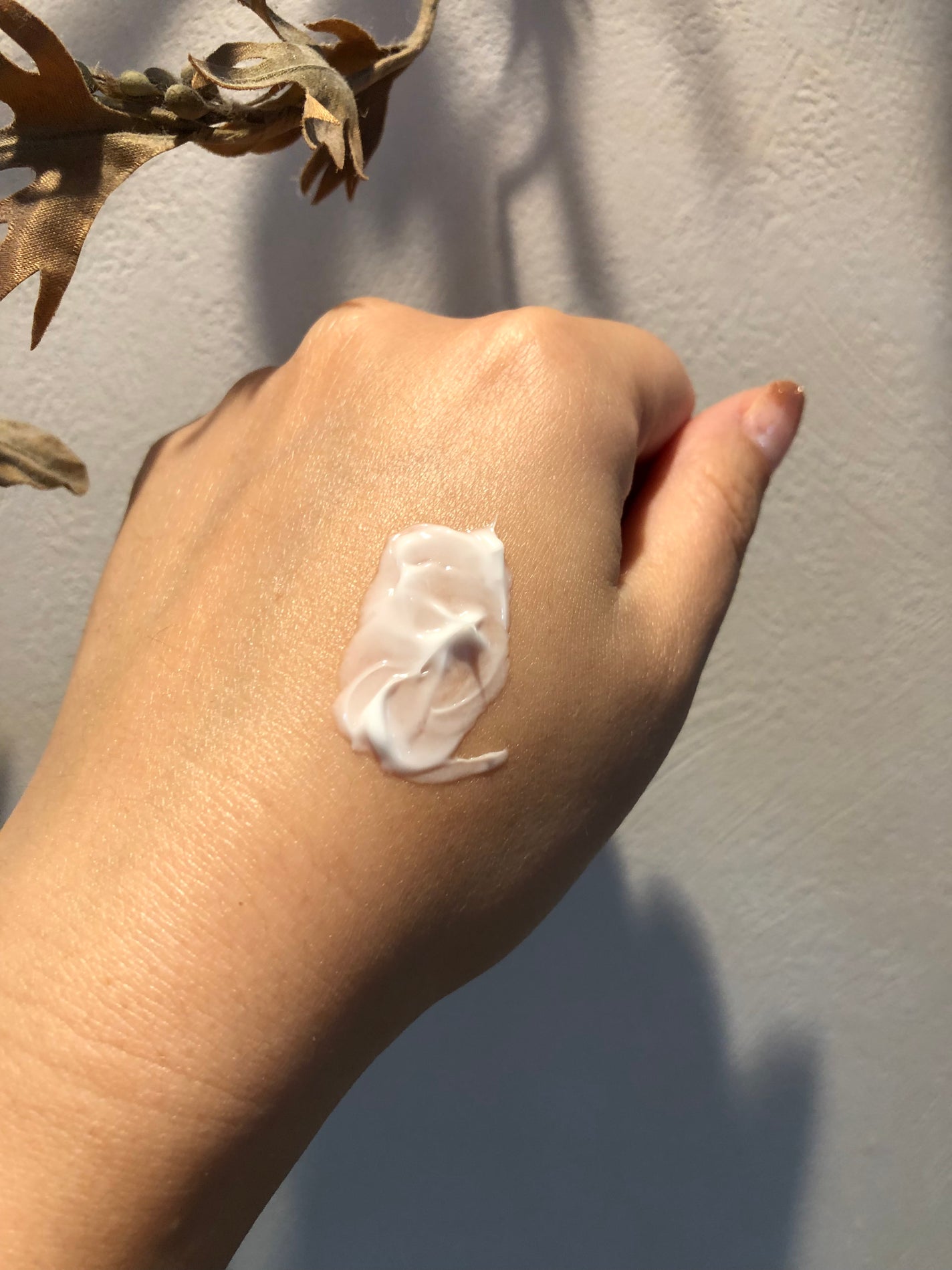 モリンガ セラミド コラーゲン エンリッチド モイスチャライザー/heimish/乳液を使ったクチコミ(6枚目)