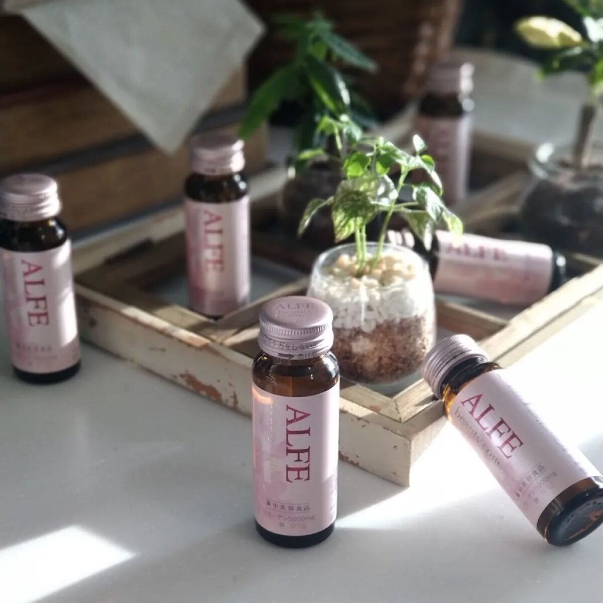 アルフェ ビューティコンク〈ドリンク〉W/アルフェ/美容ドリンクを使ったクチコミ（1枚目）