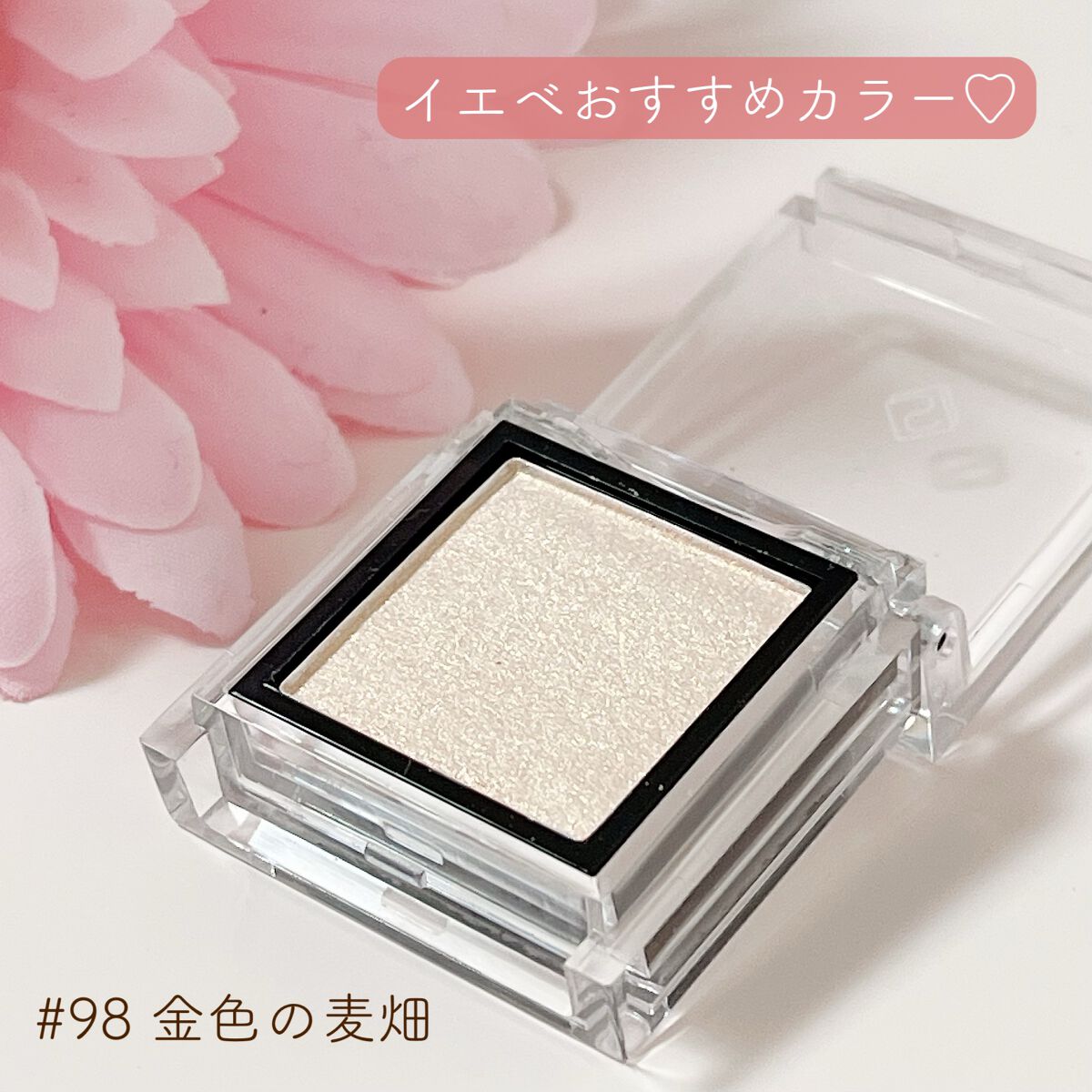 eyeshadow/SLN/単色アイシャドウを使ったクチコミ(2枚目)