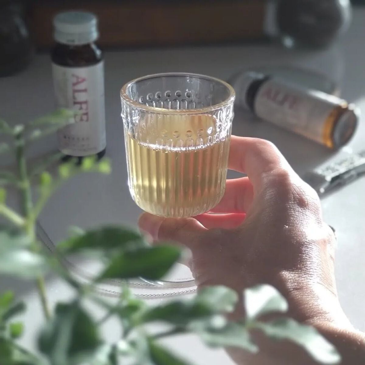 アルフェ ホワイトプログラム/アルフェ/美容ドリンクを使ったクチコミ(2枚目)