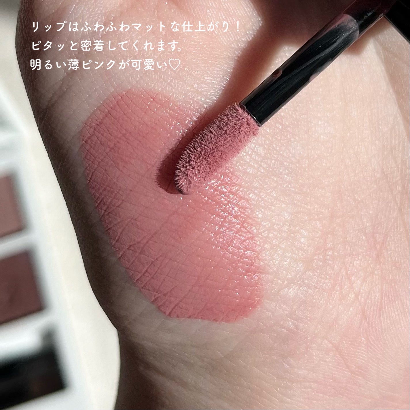 ホリデー アディクション サイレント ウィッシュⅠ/ADDICTION/メイクアップキットを使ったクチコミ(6枚目)