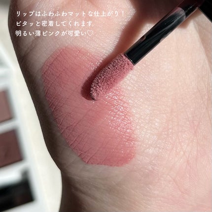 ホリデー アディクション サイレント ウィッシュⅠ/ADDICTION/メイクアップキットを使ったクチコミ(6枚目)