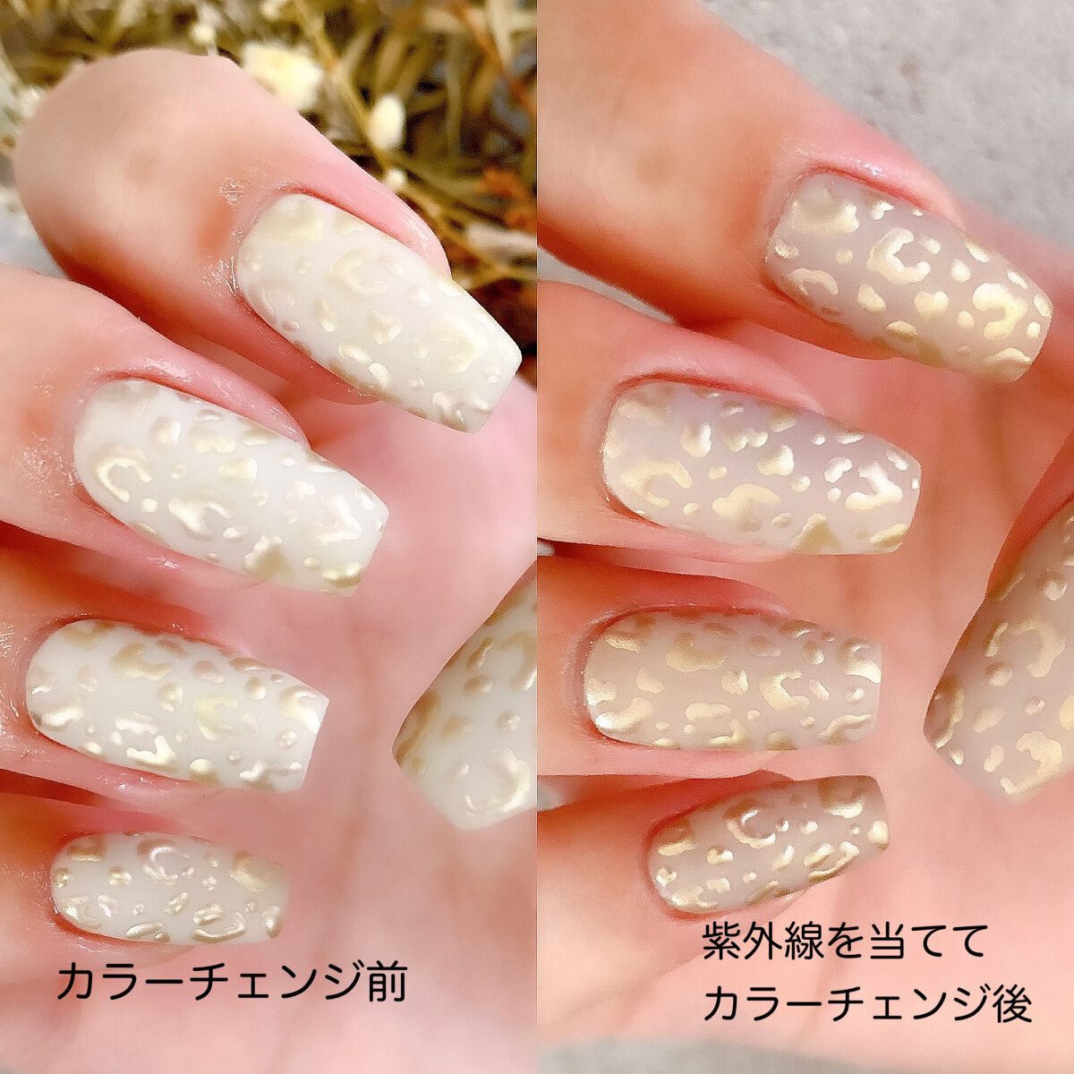 秋ネイルのネイルデザイン】プリジェルミューズ｜プリジェルの