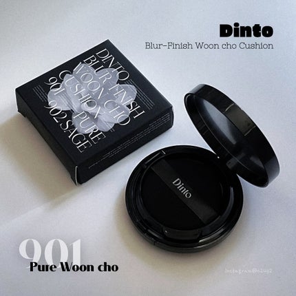ブラーフィニッシュ雲楚クッション/Dinto/クッションファンデーションを使ったクチコミ(1枚目)