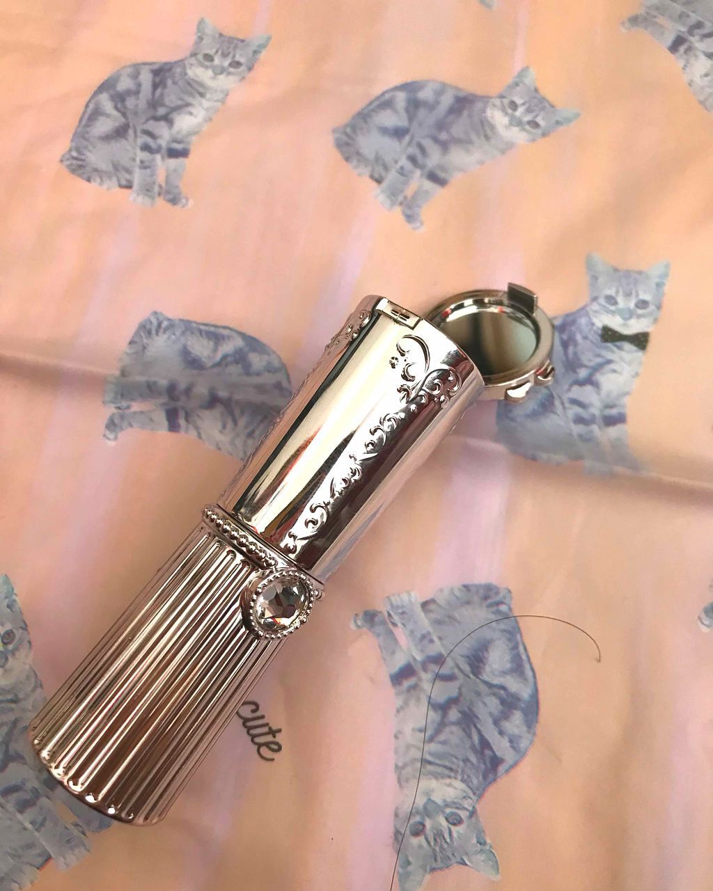 リップブロッサム (旧)/JILL STUART/口紅を使ったクチコミ（2枚目）