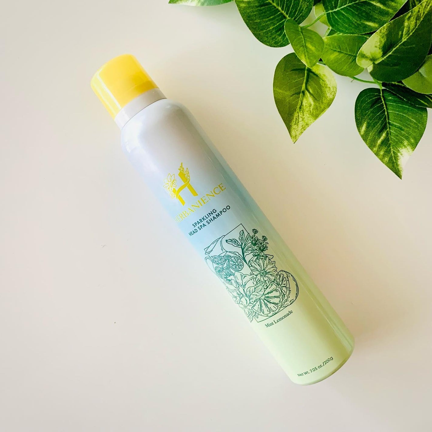 ハーバニエンス 炭酸ヘッドスパシャンプー_バニスパ/HERBANIENCE/市販シャンプーを使ったクチコミ(1枚目)