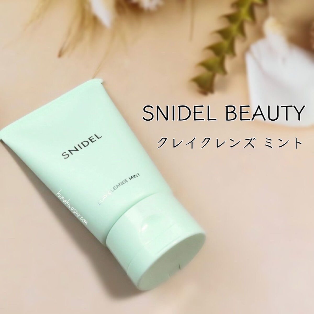 クレイ クレンズ ミント/SNIDEL BEAUTY/洗い流すパック・マスクを使ったクチコミ（1枚目）