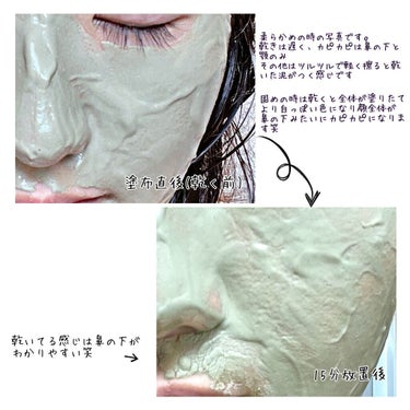 Indian Healing Clay/AZTEC SECRET/洗い流すパック・マスクを使ったクチコミ（5枚目）