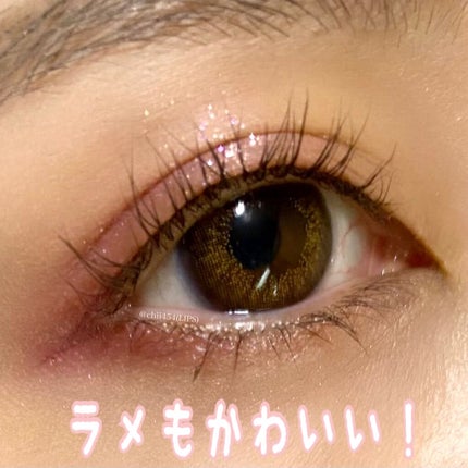 レトロマグネティック アイシャドウパレット/FlowerKnows/アイシャドウパレットを使ったクチコミ(3枚目)