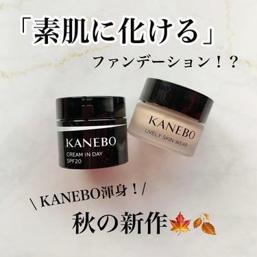 ライブリースキン　ウェア/KANEBO/クリーム・エマルジョンファンデーションを使ったクチコミ（1枚目）