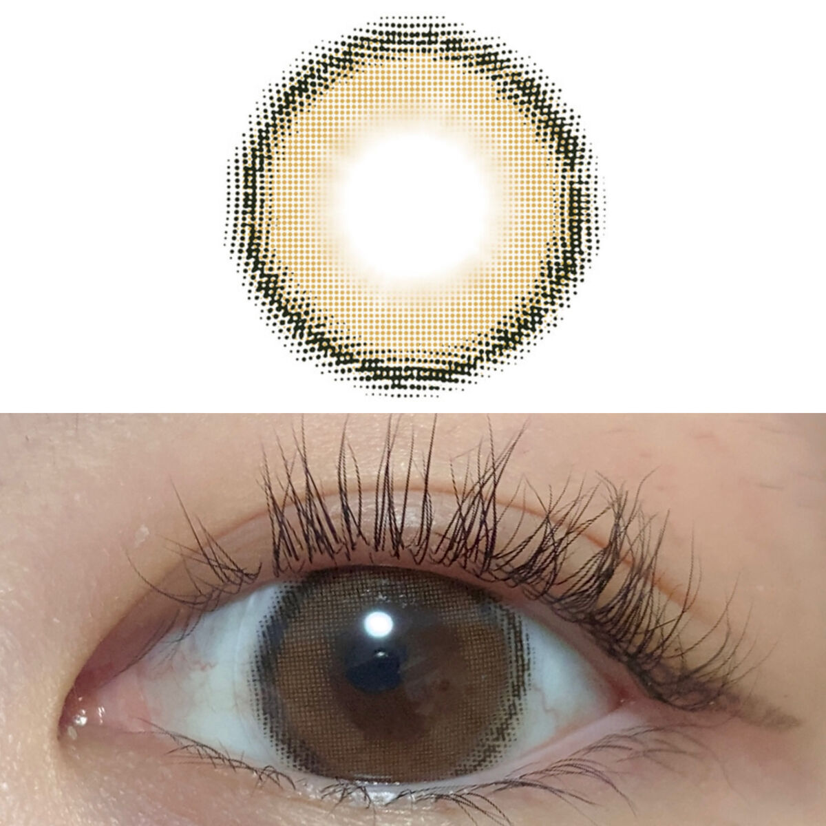 eye closet iDOL Series CANNA ROSE 1day ヌードベージュ/EYE CLOSET/ワンデー（１DAY）カラコンを使ったクチコミ（2枚目）