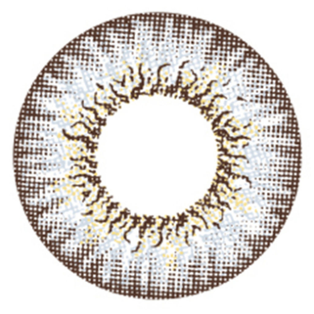 AngelColor 1day Spotlight Gray