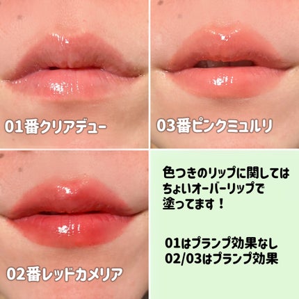 ナチュラルブルームリップオイルセラム 3色セット/PINATE/リップグロスを使ったクチコミ(5枚目)