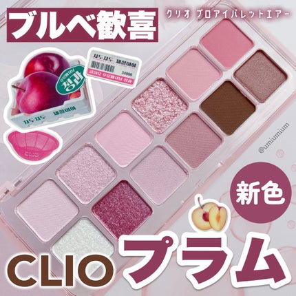 プロ アイ パレット エアー/CLIO/アイシャドウパレットを使ったクチコミ(1枚目)
