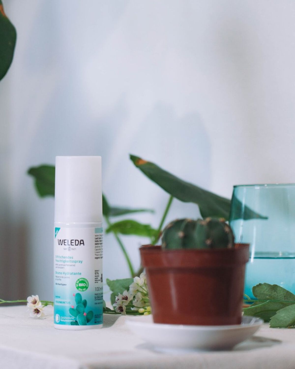 WELEDA ウチワサボテン フェイシャルミストのクチコミ「まゆと一緒に物撮り会した時の。
撮影のために買ったサボテンくん、元気かな？

day 2022.....」（1枚目）