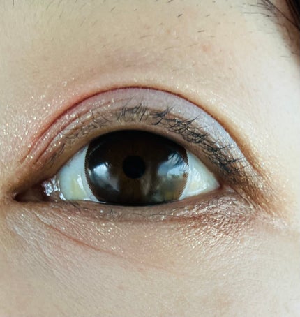 ニューデップスアイシャドウパレット/hince/アイシャドウパレットを使ったクチコミ(2枚目)