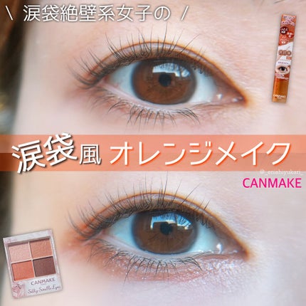 シルキースフレアイズ/キャンメイク/アイシャドウパレットを使ったクチコミ(1枚目)