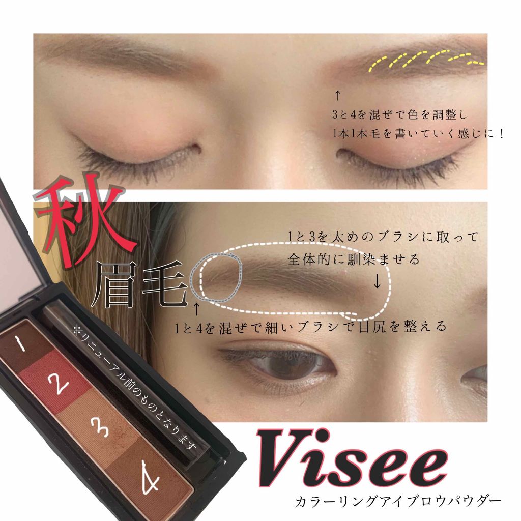リシェ カラーリング アイブロウパウダー/Visée/パウダーアイブロウを使ったクチコミ（1枚目）