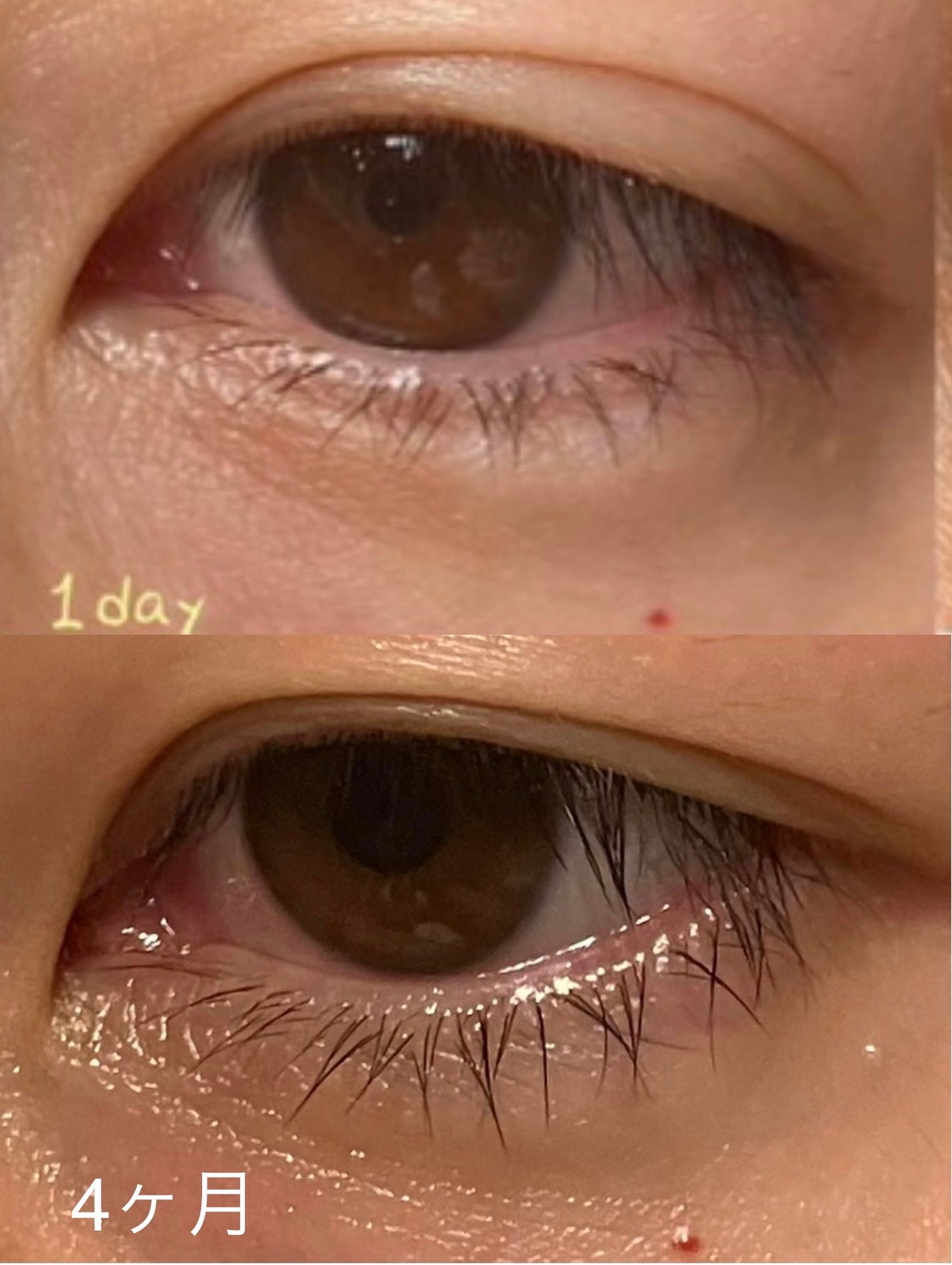 ローヤルゼリー配合 栄養ローション/DAISO/美容液を使ったクチコミ(2枚目)