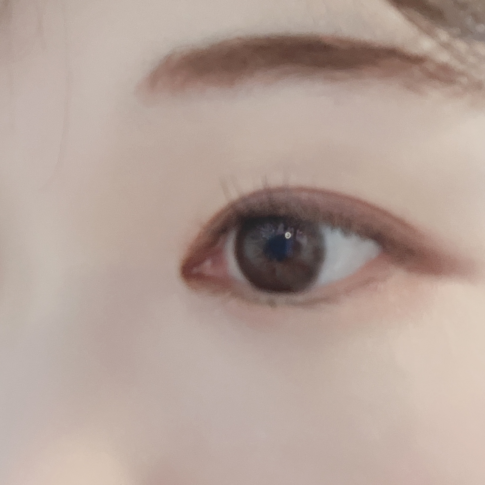 LARME ONE DAY RING(ラルムワンデーリング)/LARME/ワンデー（１DAY）カラコンを使ったクチコミ（3枚目）