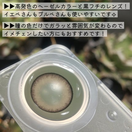 RESAY 1day/RESAY/ワンデー(1DAY)カラコンを使ったクチコミ(3枚目)