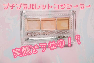 パレットコンシーラー/CEZANNE/パレットコンシーラーを使ったクチコミ（1枚目）