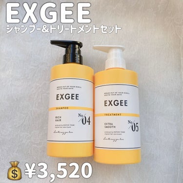 エグジー シャンプー／トリートメント/EXGEE/シャンプー・コンディショナーを使ったクチコミ（2枚目）