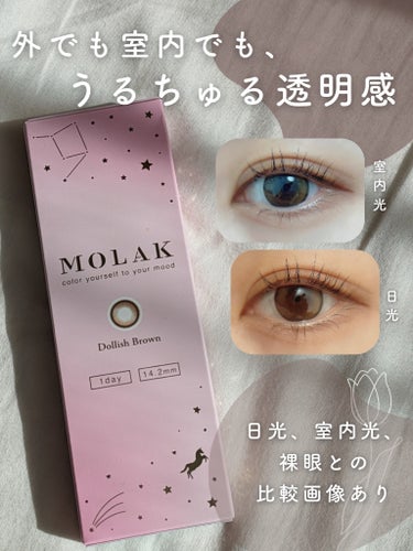 MOLAK 1day ドーリッシュブラウン/MOLAK/ワンデー（１DAY）カラコンを使ったクチコミ（1枚目）