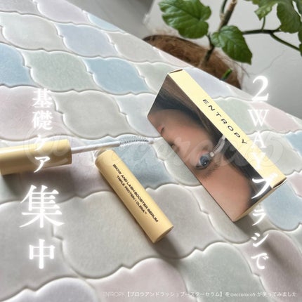 ブロウアンドラッシュブースターセラム/ENTROPY/マスカラを使ったクチコミ(1枚目)