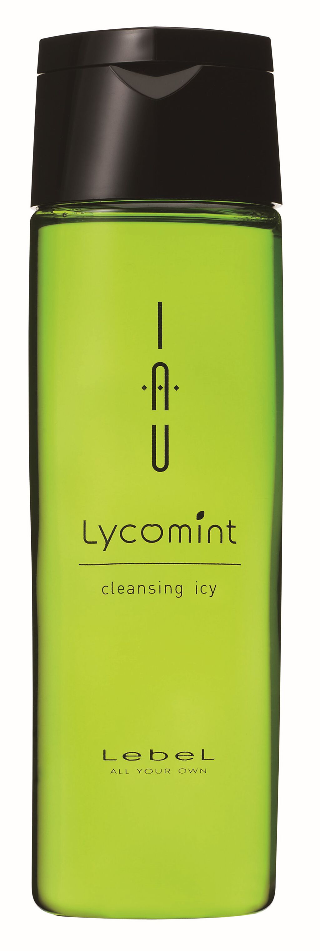 LebeL イオリコミント クレンジング icy