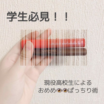 クイックラッシュカーラー/キャンメイク/マスカラ下地を使ったクチコミ(1枚目)