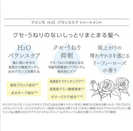 H2O バランスケア シャンプー&ヘアマスク 1dayお試し/amenimo(アメニモ)/トライアルキットを使ったクチコミ(3枚目)