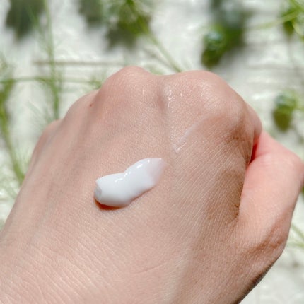 フェミナチュールインティメイトクリーム/ヴィーナスラボ/デリケートゾーンケアを使ったクチコミ(5枚目)