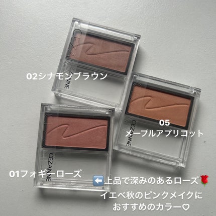 チークブラッシュ/CEZANNE/パウダーチークを使ったクチコミ(4枚目)