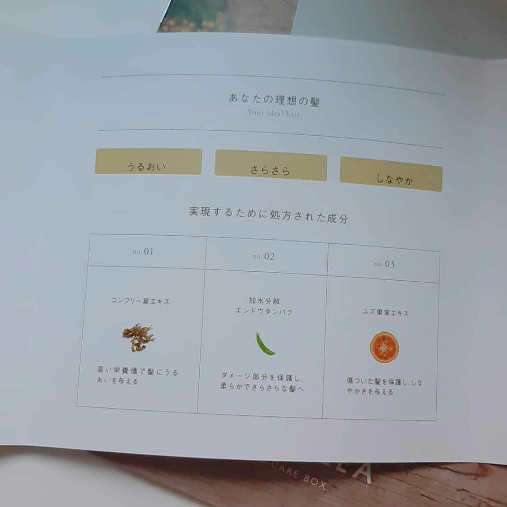 MEDULLA シャンプー/リペア/MEDULLA/シャンプー・コンディショナーを使ったクチコミ(4枚目)