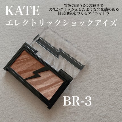 エレクトリックショックアイズ /KATE/アイシャドウパレットを使ったクチコミ(1枚目)