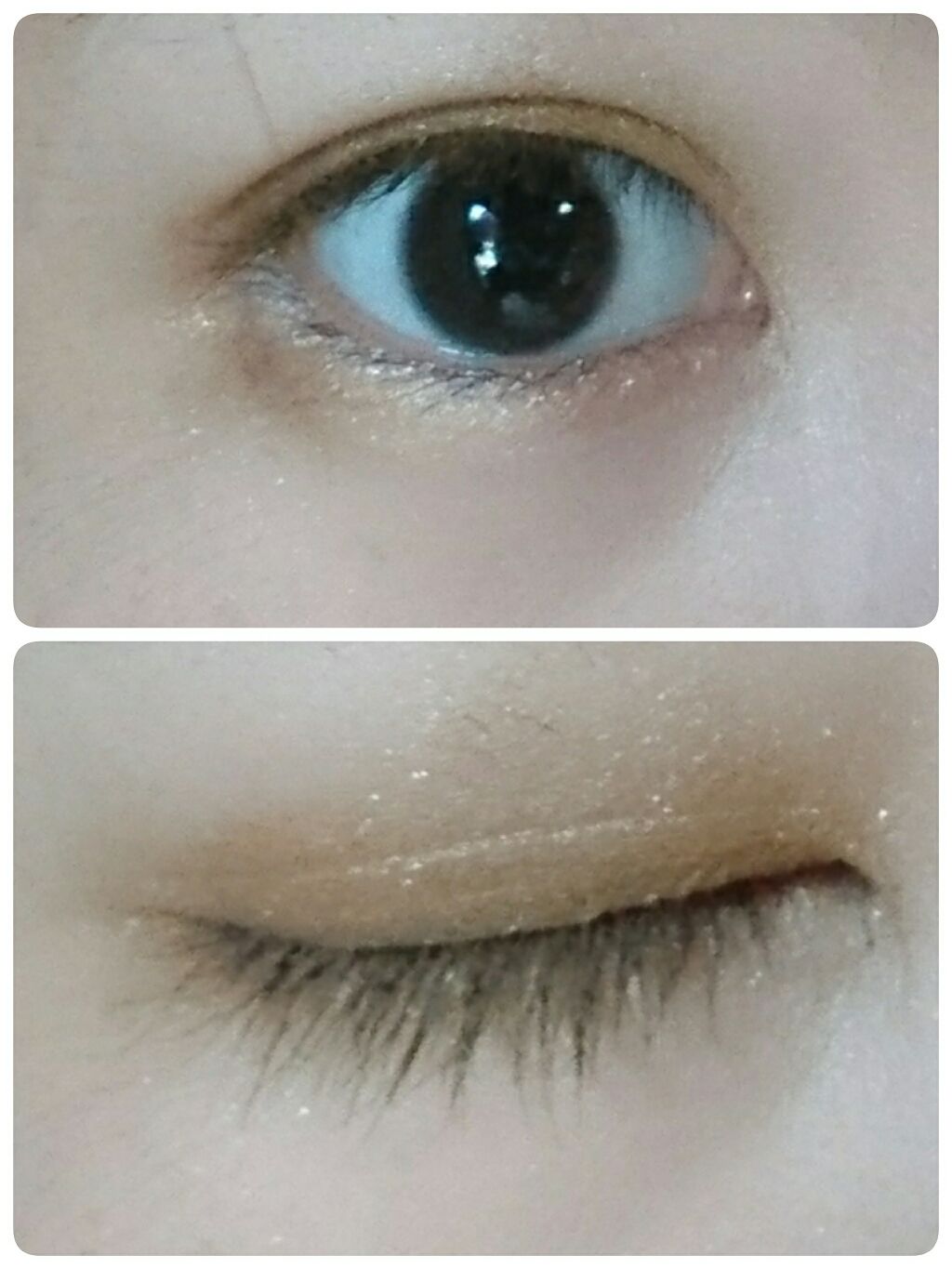 ヴィンテージモードアイズ/KATE/アイシャドウパレットを使ったクチコミ(2枚目)