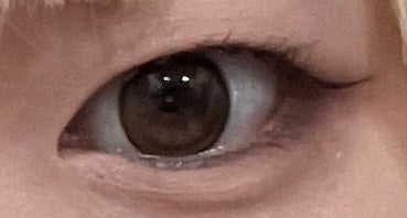 MOLAK 1day/MOLAK/ワンデー(1DAY)カラコンを使ったクチコミ(1枚目)