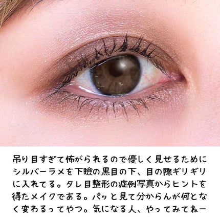 maiasagi on LIPS 「100番、使ってみた。この子、写真で撮ると色味が安定しない難し..」(8枚目)