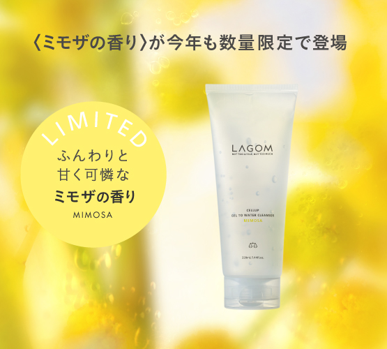 試してみた】ジェルトゥウォーター クレンザー (MI) LAGOM の効果・肌