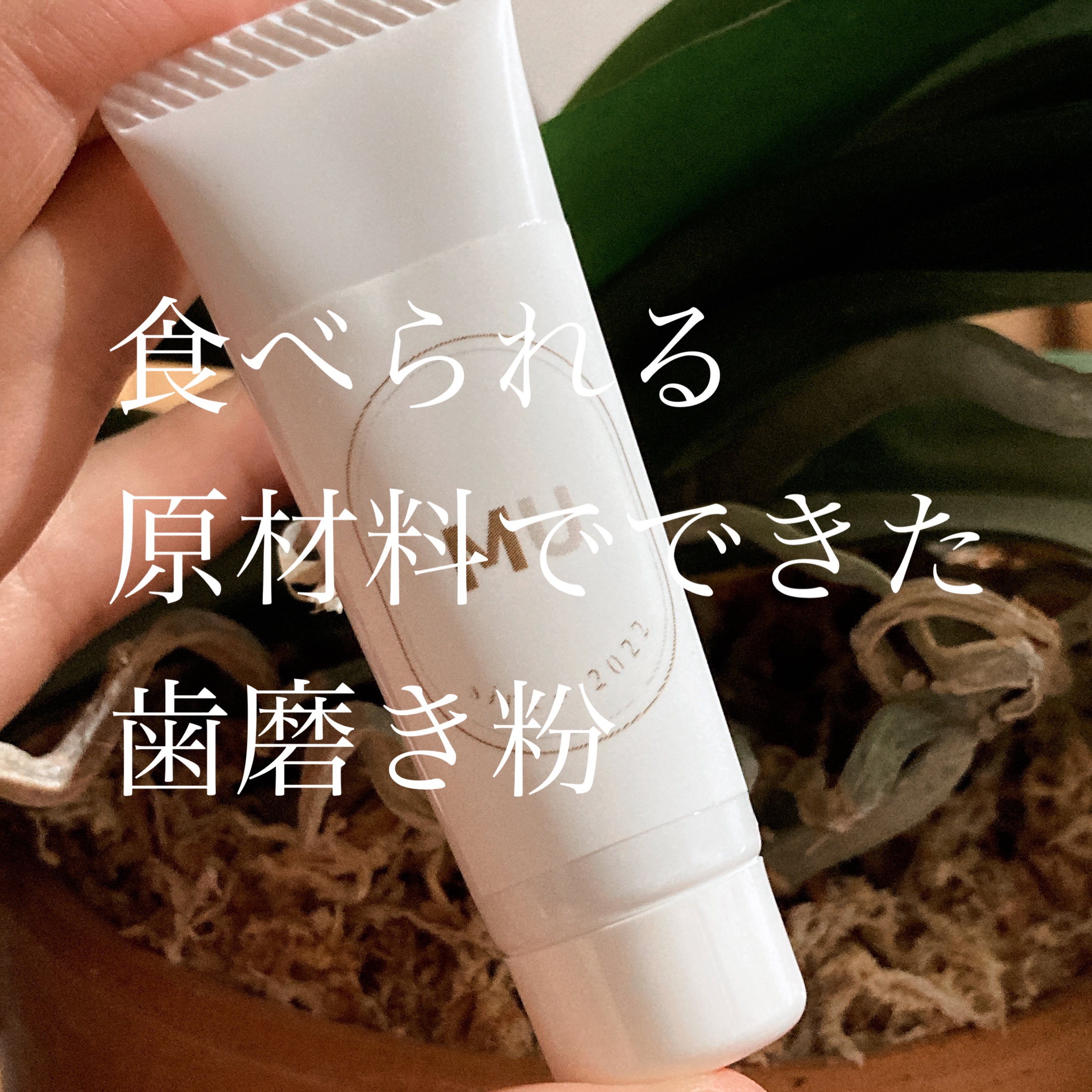 MU〔ムー〕
ナチュラル歯みがき粉

ナチュラルなものなので泡立ちはありませんが、
口の中はスッキリして歯もツルツル！
申し分なしです🙌

食品にも使用できるグレードの原料を使用された歯磨き粉です！

天然鉱物のモンモリロナイトでステイン