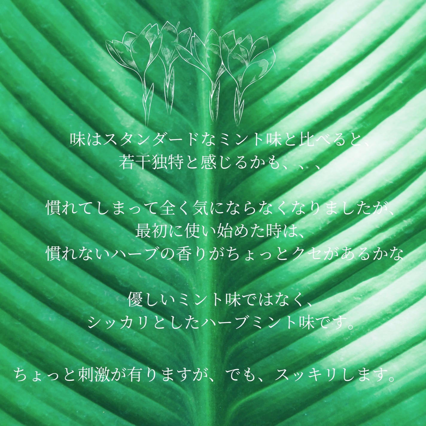 デンティス オーラルリンス/デンティス/マウスウォッシュ・スプレーを使ったクチコミ(3枚目)