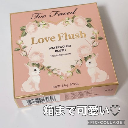 ラブ フラッシュ ウォーターカラー ブラッシュ/Too Faced/パウダーチークを使ったクチコミ(2枚目)