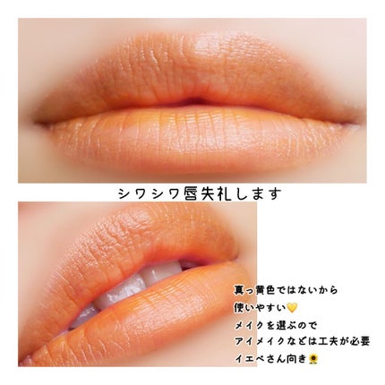 ジューシーラスティングティント/rom&nd/リップティントを使ったクチコミ(6枚目)