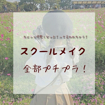 ナチュラル チークN/CEZANNE/パウダーチークを使ったクチコミ(1枚目)